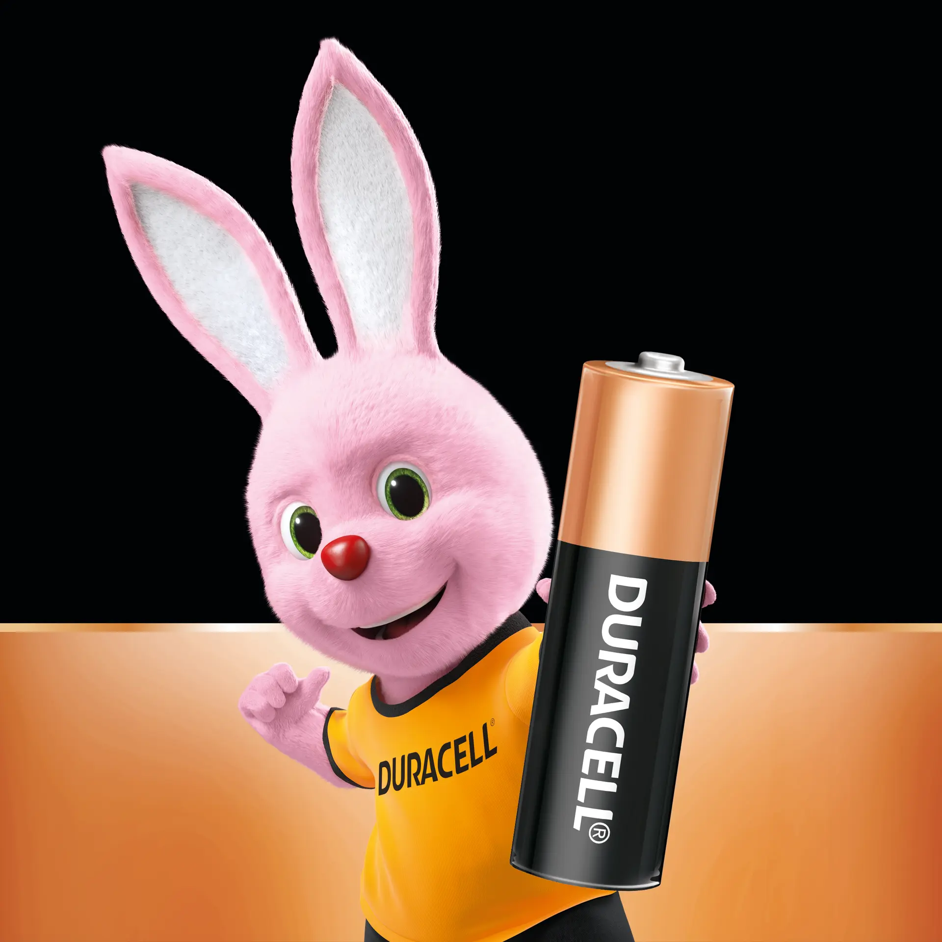Duracell Alkaline Batteries AA 8 Pcs - view 6
